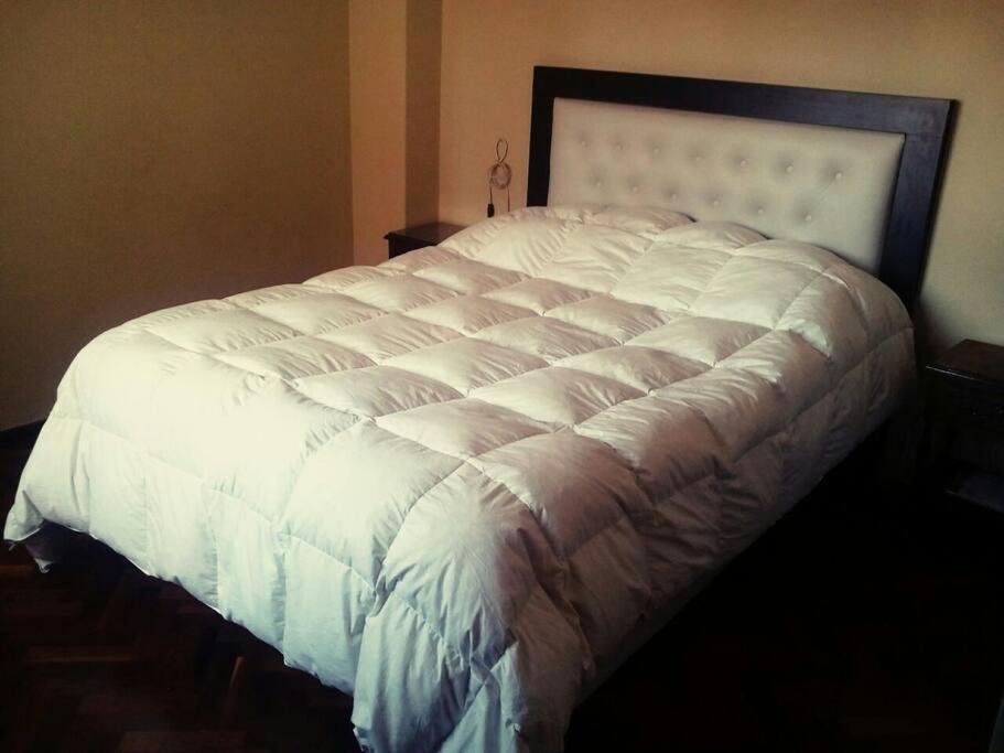 Amplio Departamento En El Corazon De Apartment Mendoza